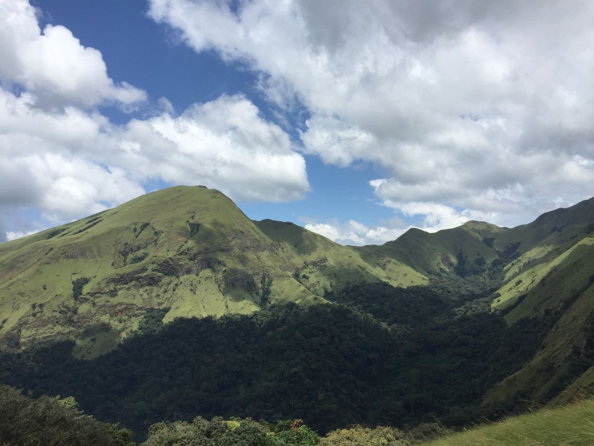 View of the Nimba Mountains. Image courtesy of Maegan Fitzgerald.
