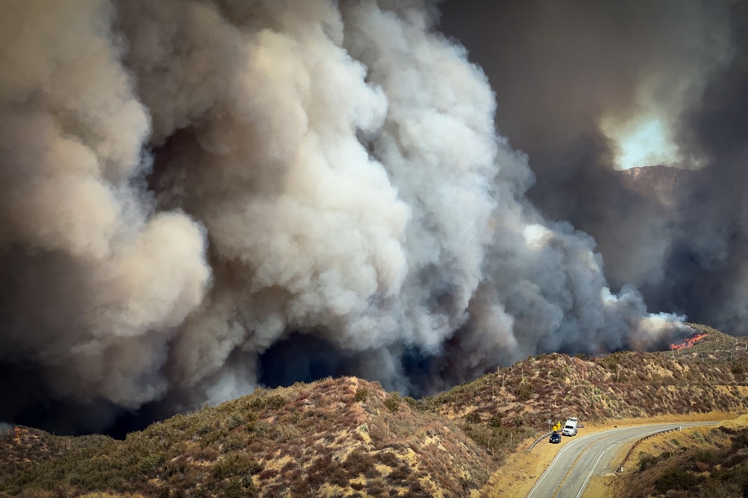While birds are adapted to this fire-swept ecosystem, researchers don’t know how many birds die in fires or are sickened by particulate matter in smoke.