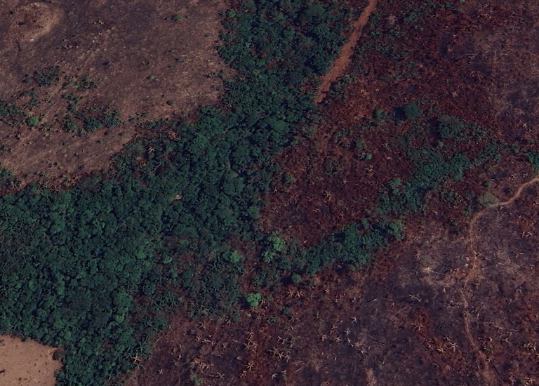 Satellite imagery from Google Earth captured September 2023 show a burned area of forest inside Triunfo do Xingu Environmental Protection Area.
