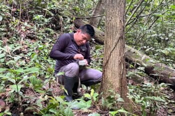 Demetrio carrying out monitoring tasks. Image courtesy of Richar Antonio Demetrio.