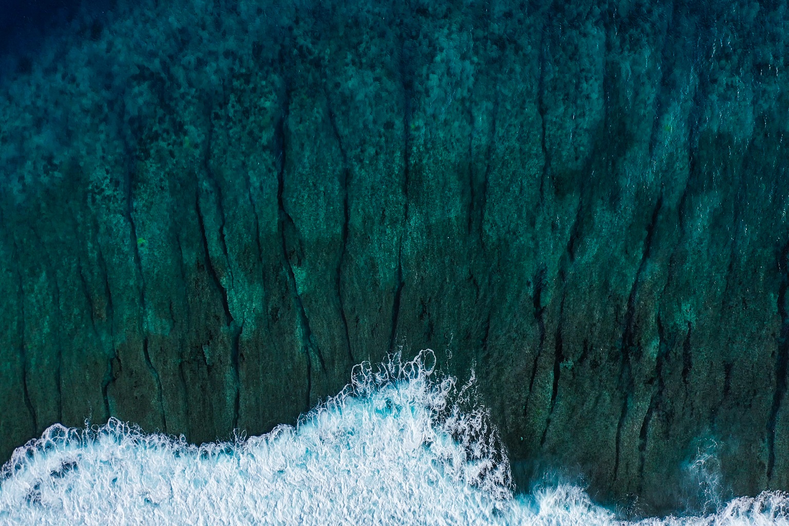 Marine protected areas expanded in 2025, but still far from 30% goal