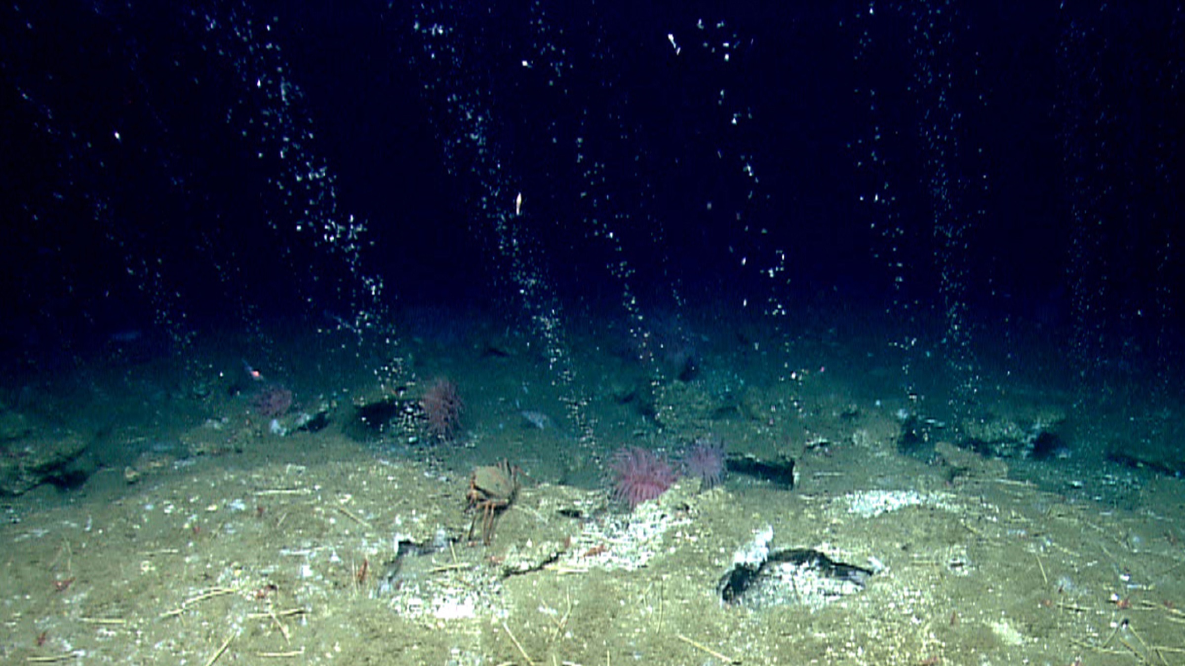 Methane chasers: Hunting a climate-changing gas seeping from Earth’s seafloor