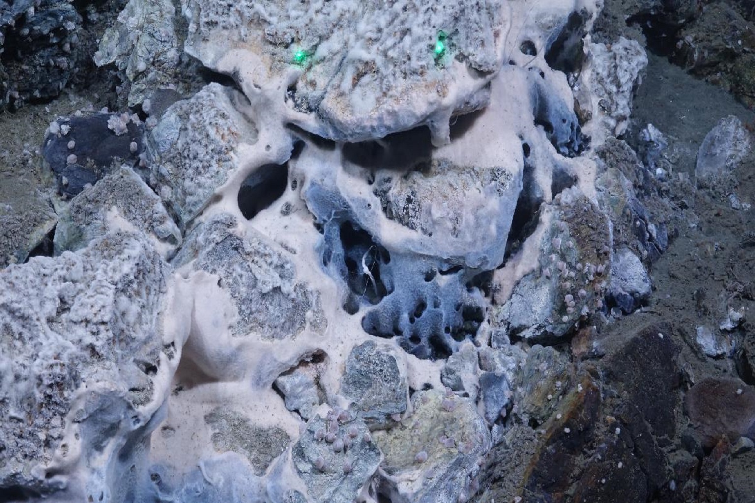 Close-up view of bacterial communities thriving at a recently discovered Arctic vent site, which scientists propose be named the Frigg Vent Field. The distance between the two green laser points is 9 centimeters (3.5 inches), providing a scale for the dense microbial structures visible on the seafloor.
