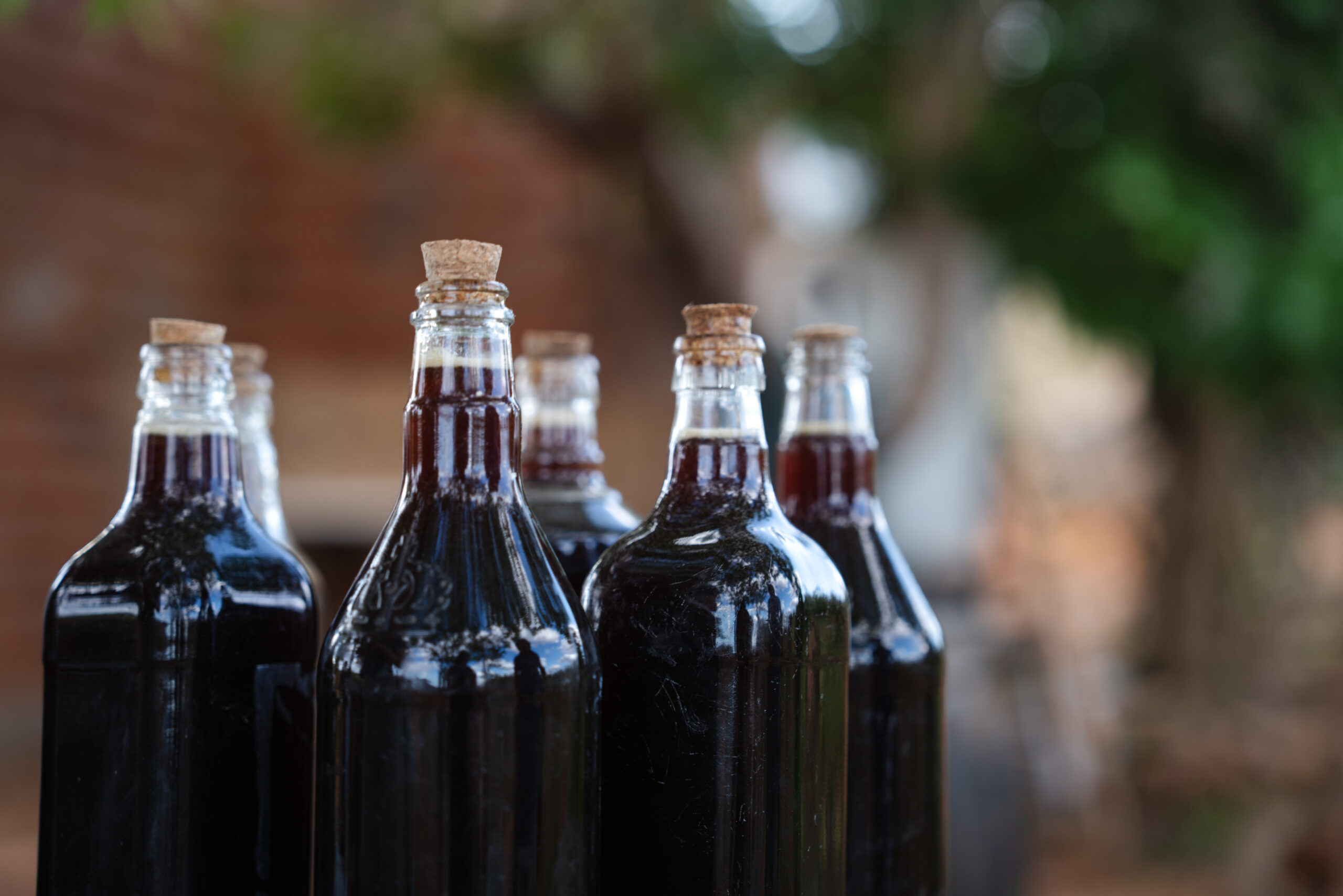 Bottles of dark aroeira honey produced by Geraldo Magela in the Jequitinhonha Valley. Image by Rebeca Binda.