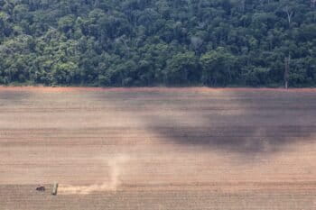Deforestation in Mato Grosso state. Image © Paulo Pereira/Greenpeace.