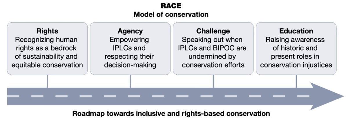 The RACE model for conservation