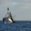 A purse seiner targeting Pacific bluefin tuna (Thunnus orientalis) in the Pacific Ocean off Mexico. Image courtesy of Andre Boustany.