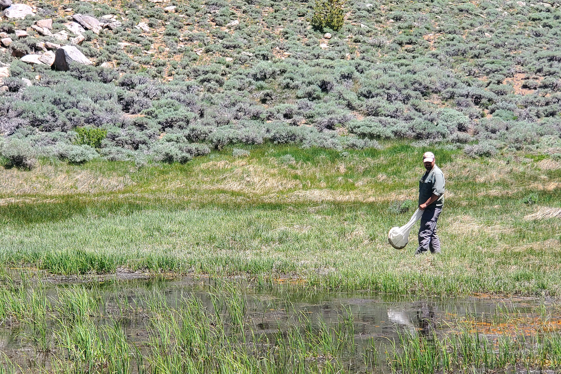 How many insects does California have? We’re getting&hellip;