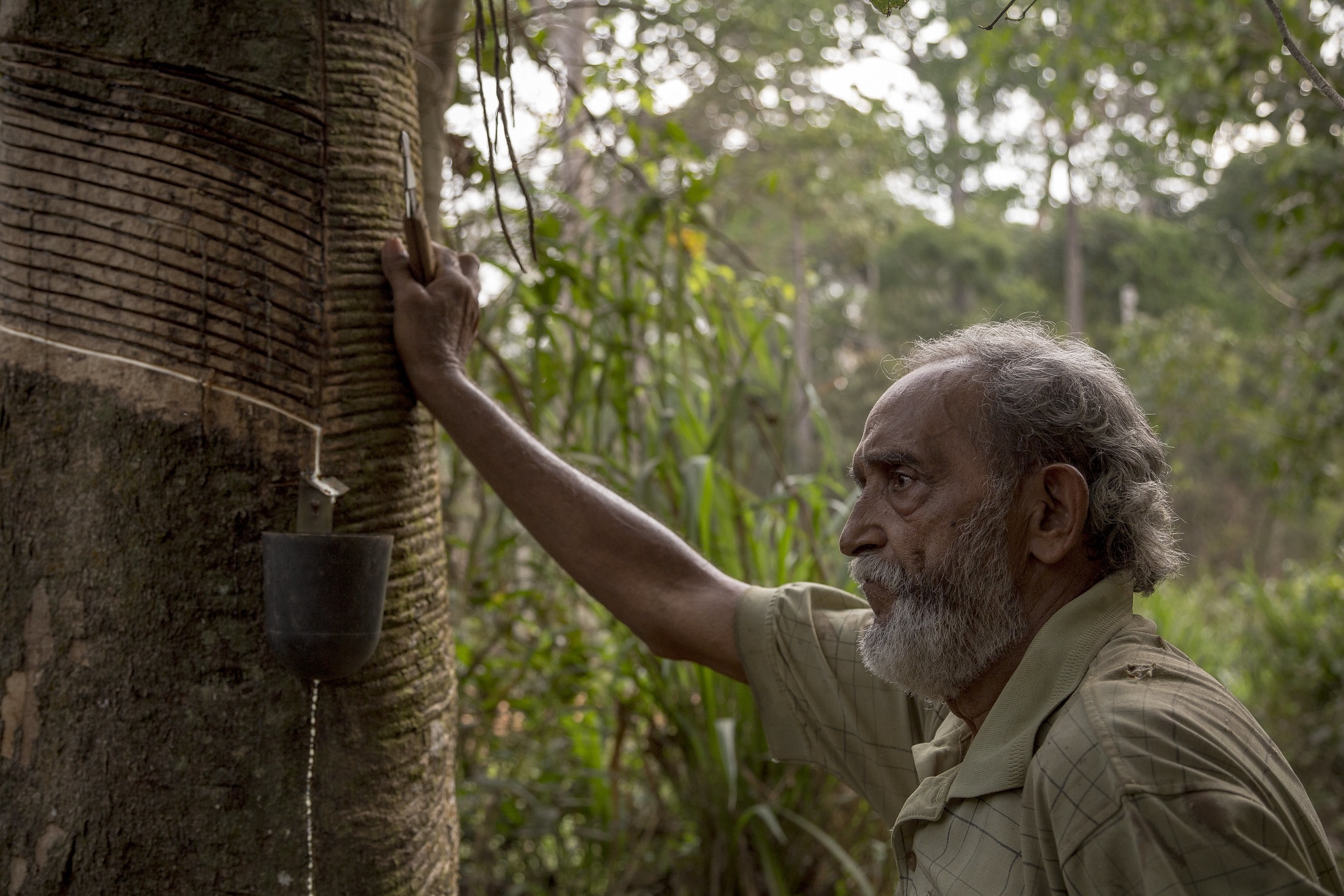 Brazil bets reducing poverty can protect the Amazon