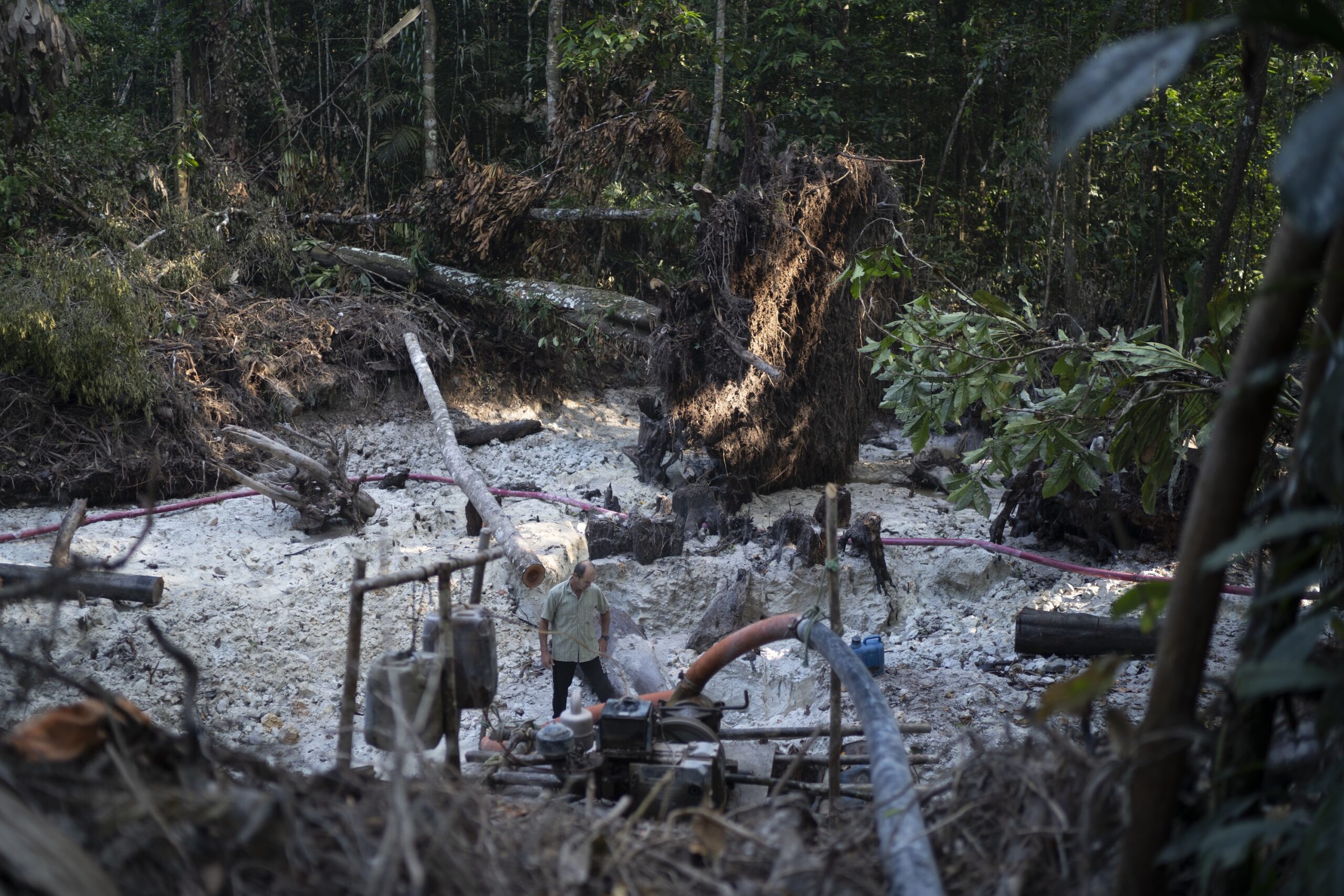 photo of Interpol-backed police make nearly 200 arrests in Amazon region gold mining sweep image
