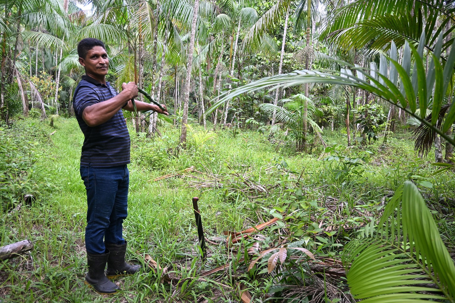 Daniel Vinagre lost 2 hectares (5 acres) of agroforestry land in a fire that burned 60 hectares (148 acres) near the Itapiuru River.