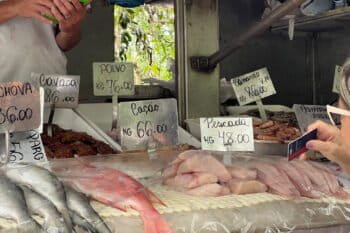 Fresh shark meat is sold as “cação” at streeet markets in the city of Rio de Janeiro.