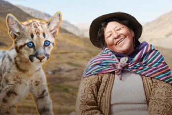 Collage featuring a puma and Ida Isabel Auris Arango, shepherd and Quechua woman