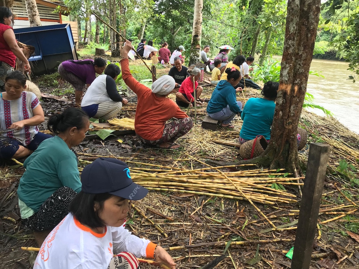 The Indigenous community of Long Isun in Kalimantan, Indonesia, derives many benefits from its territory including non-timber forest products. Here, women have harvested some sugar cane. Photo courtesy of the Long Isun community.