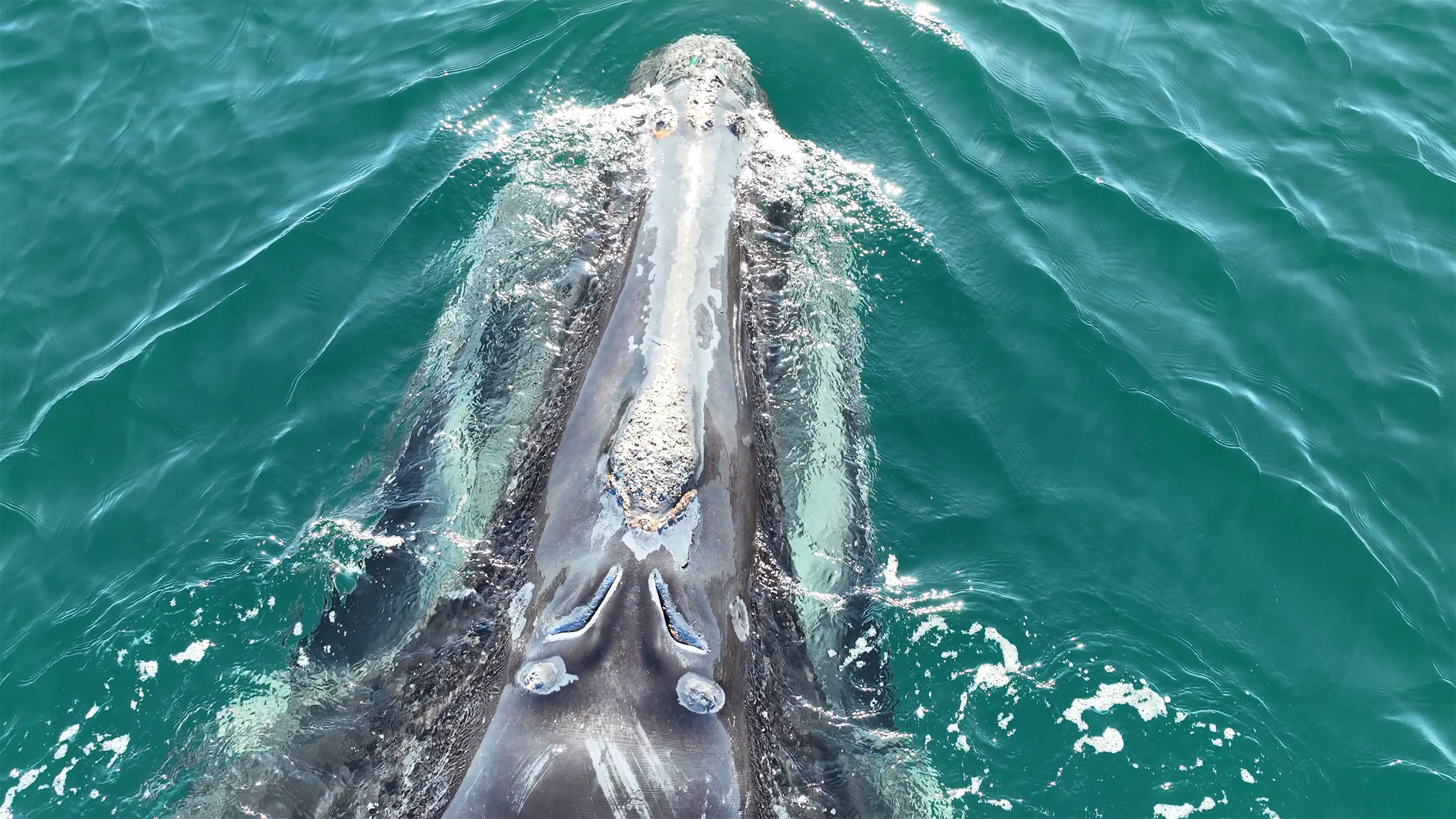 Division’s final journey