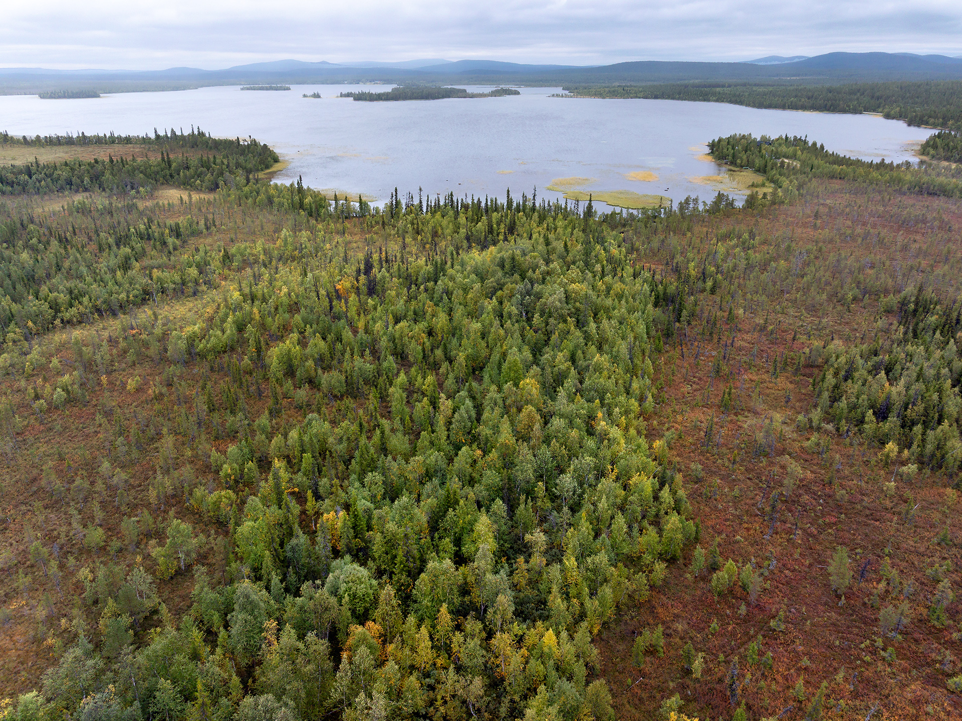 Local communities join global push to protect European, Arctic & US peatlands