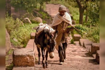 Tigray Farmer, Ethiopia.