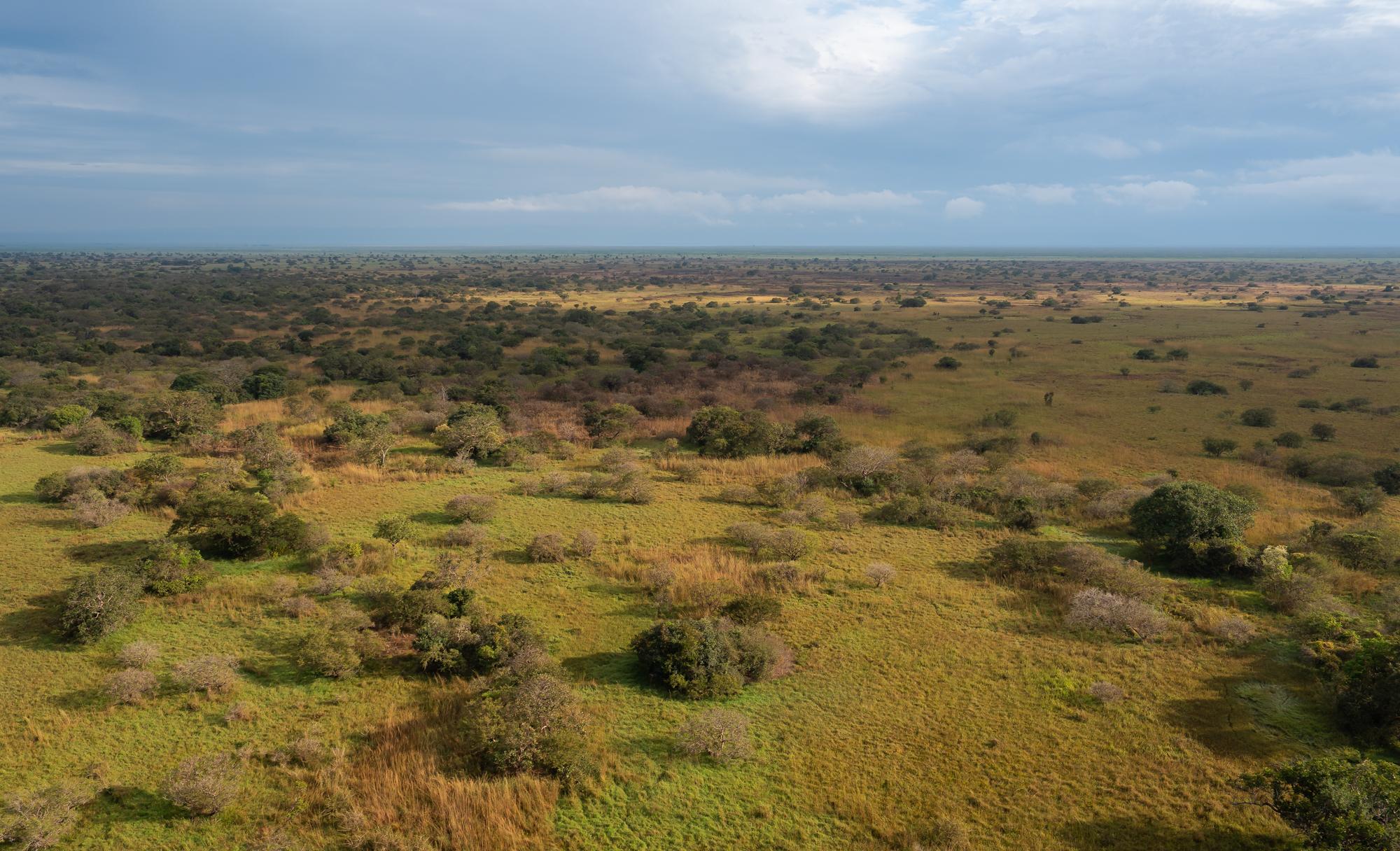Savannah in Upemba National Park. 
