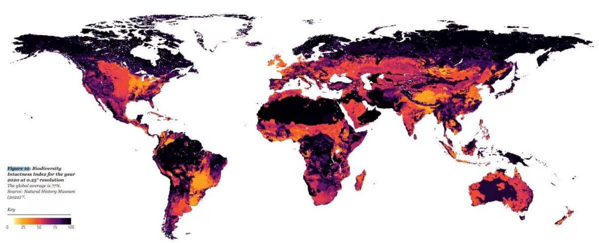 Biodiversity Intactness Index (BII). Courtesy of the Natural History Museum