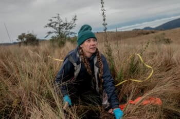 Toby Kiers co-founded the Society for the Protection of Underground Networks (SPUN) where researchers are working to identify and map underground mycorrhizal fungal networks.