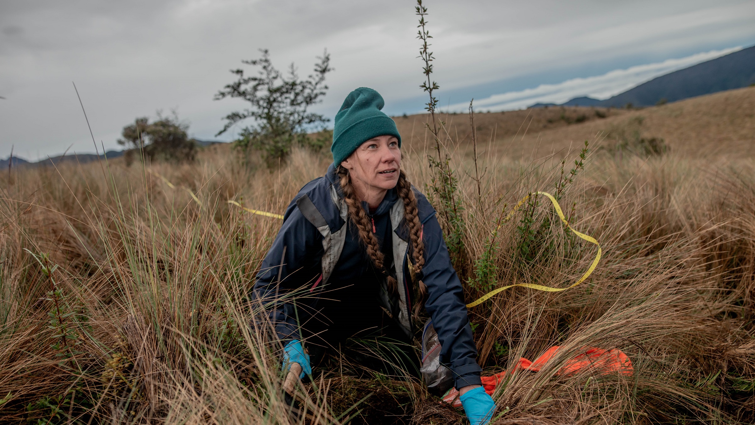 Mapping underground fungal networks: Interview with SPUN’s Toby Kiers