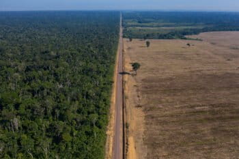 Highway BR-163 stretches between the Tapajos National Forest, left, and a soy field in Belterra, Para state, Brazil. Highway BR-163, built during the military dictatorship in the 1970s, connects areas of strong support for former President Jair Bolsonaro, who lost October's election. Image by AP Photo/Leo Correa.