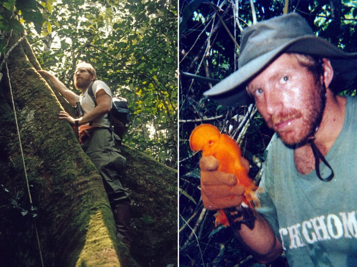 (left) Tabor doing a tropical forest wildlife survey. (right) Tabor doing Cock of the Rock research in Suriname. Courtesy of Tabor