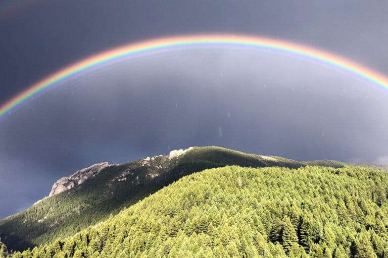 Photo by Gary Tabor.