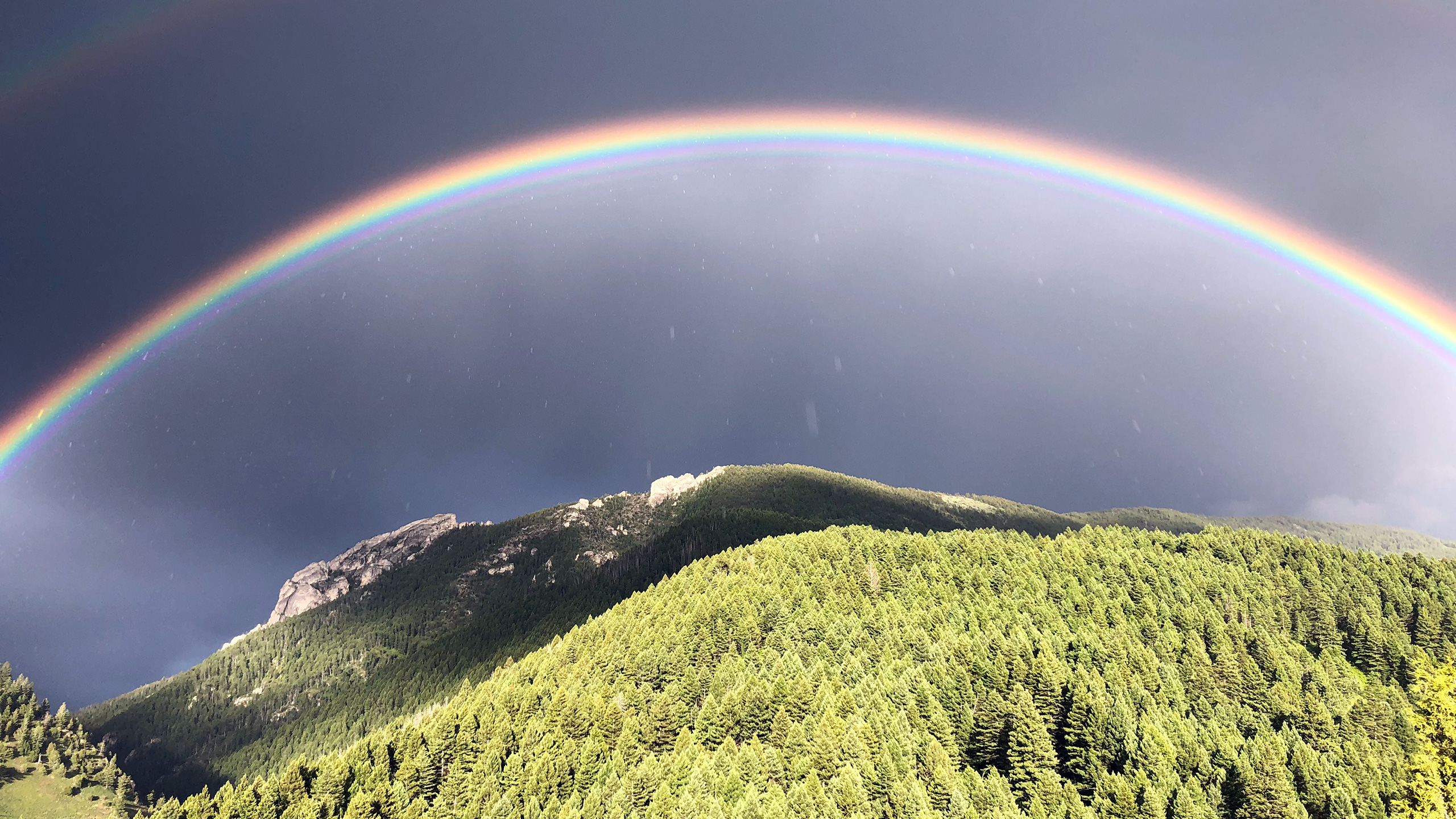 A hundred-year vision: Gary Tabor on the rise of large landscape conservation