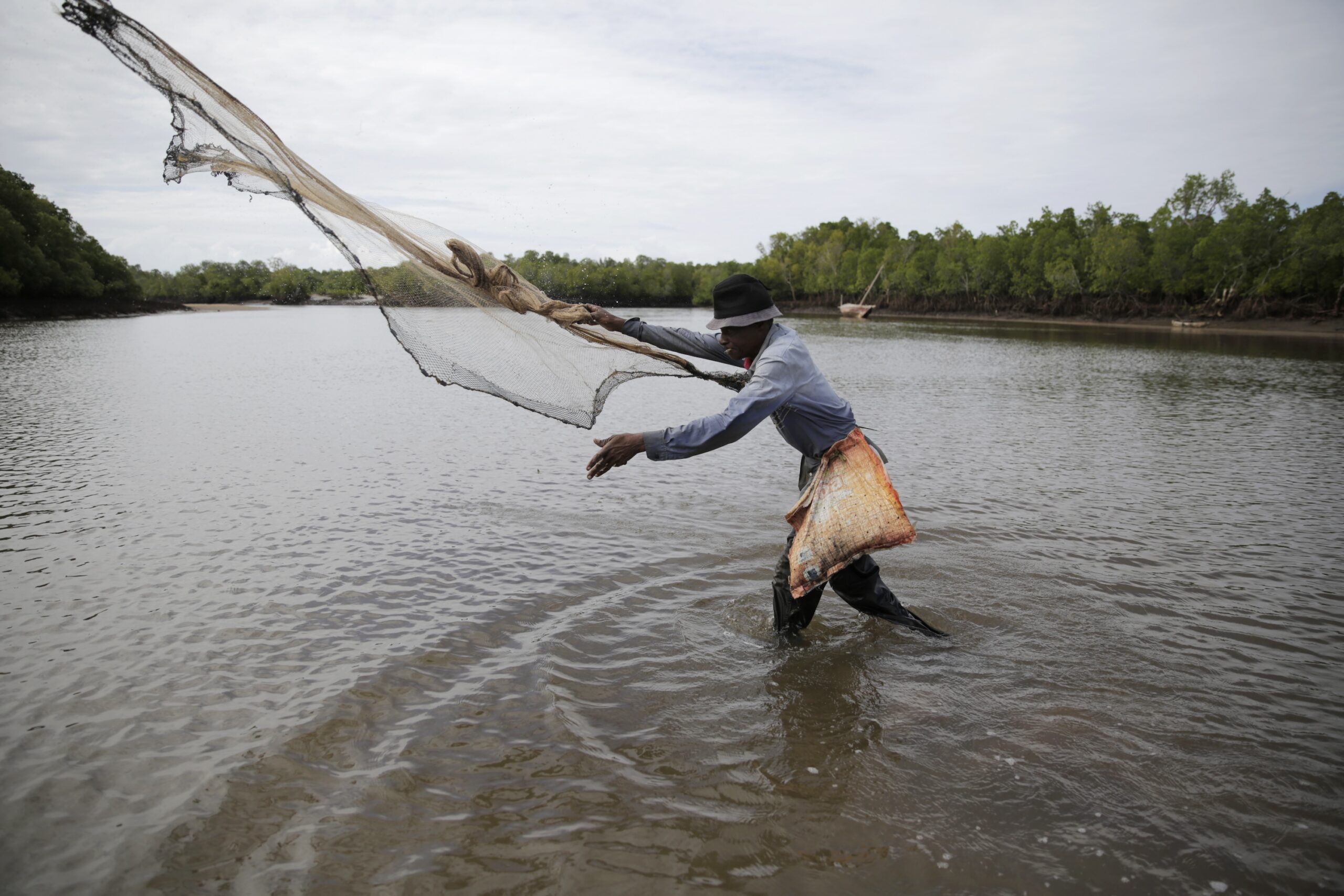 Kenya launches a carbon registry to boost climate finance…