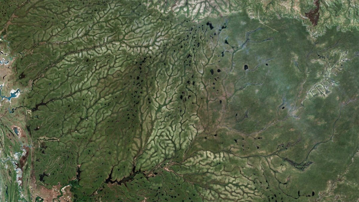 Satellite image of the eastern part of the Cape York Peninsula in Australia. Courtesy of Earthstar Geographics SIO / Microsoft maps