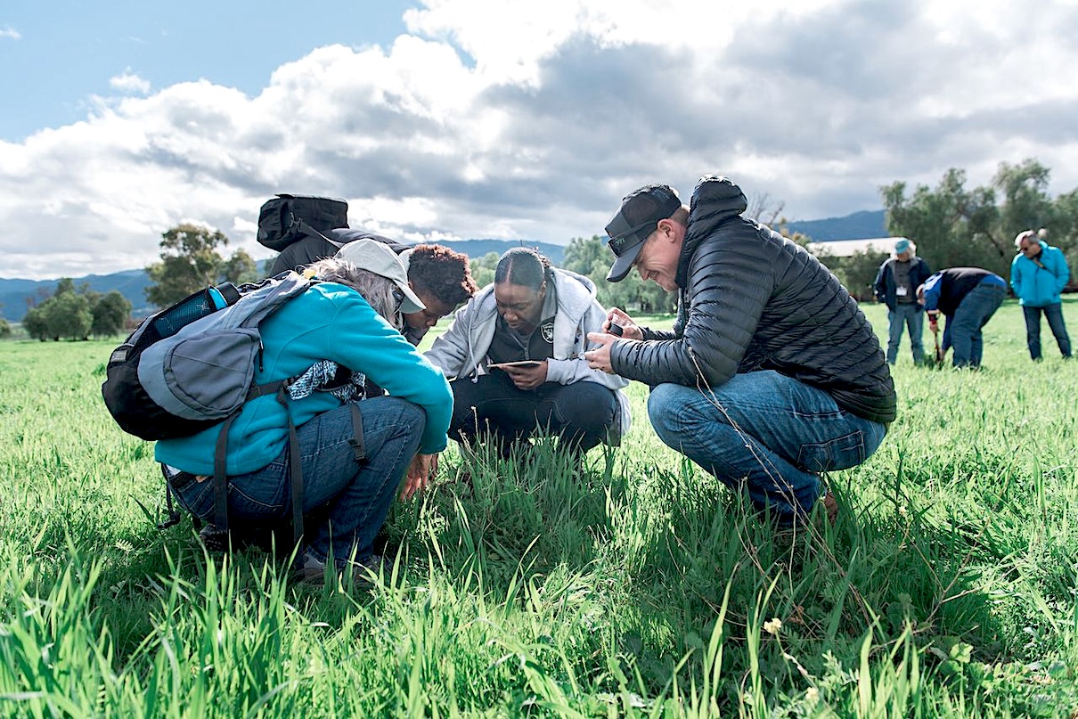 From chemistry to regeneration: Agriculture’s next…