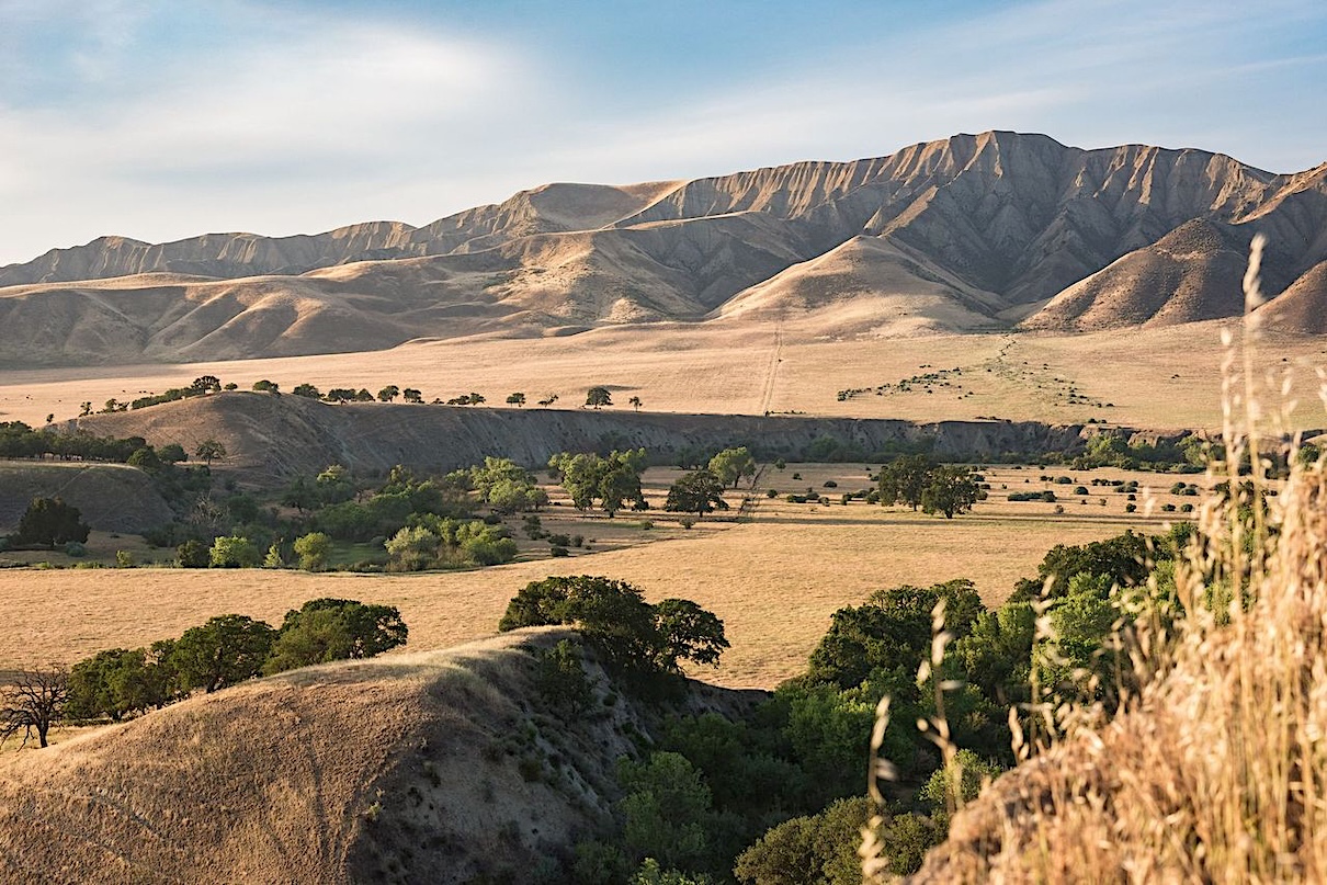 Paicines Ranch From chemistry to regeneration: Agriculture’s next transformation has ...