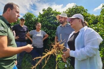 Representatives from AL-INVEST Verde visit coffee plantations in Minas Gerais.