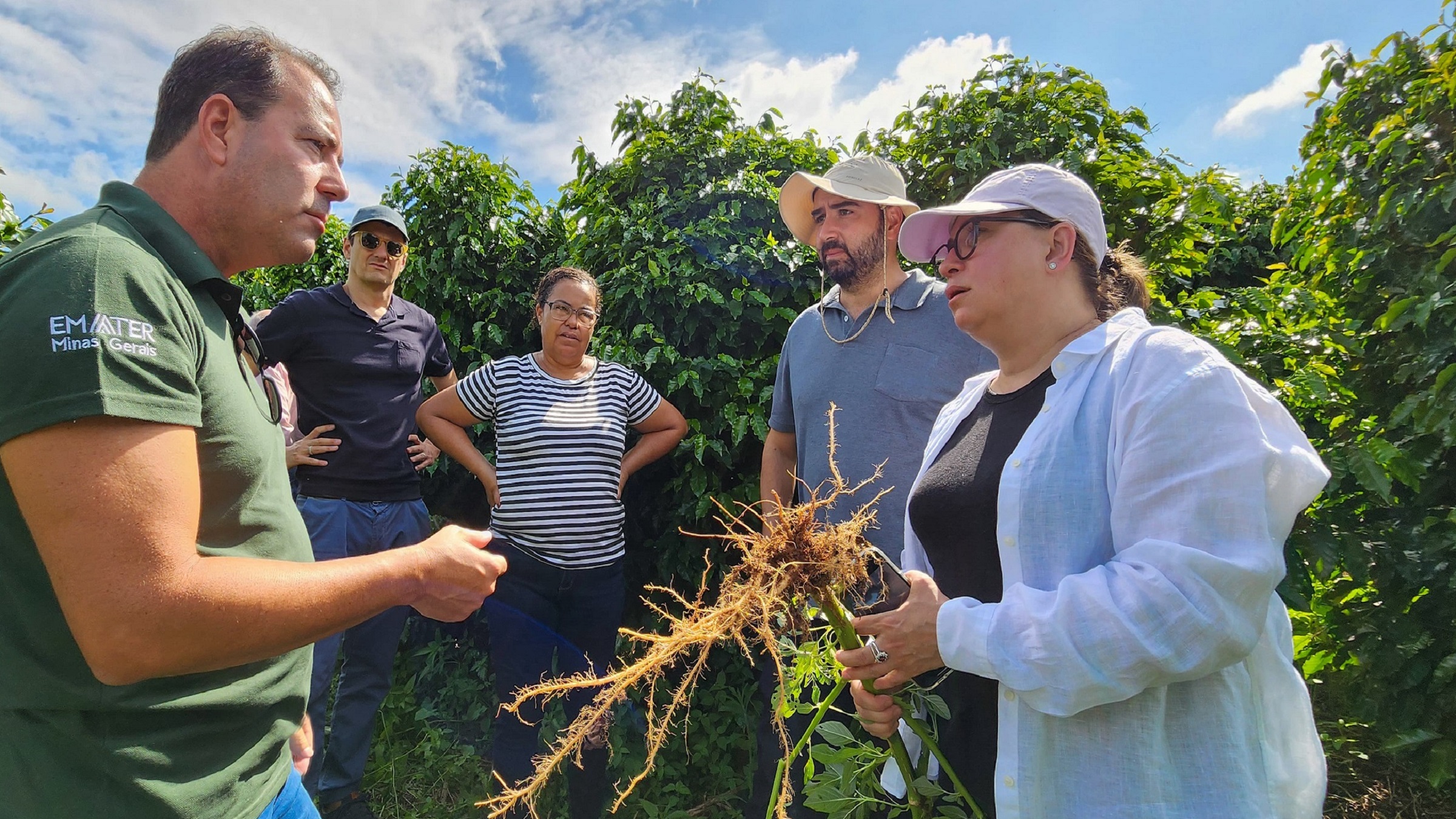In Brazil, a free platform uses government data to track EUDR compliance