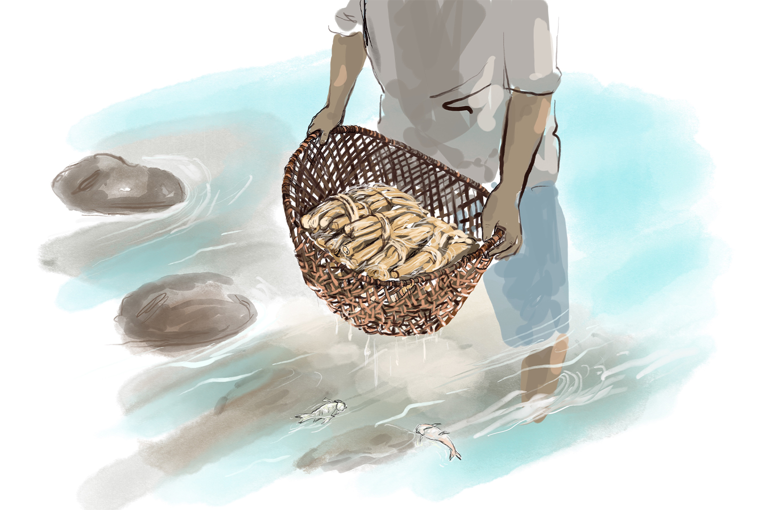 A technique using barbasco. llustration by Sao Sreymao.