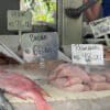 Fresh shark meat is sold as cação at street markets in Rio de Janeiro. Image by Karla Mendes/Mongabay.