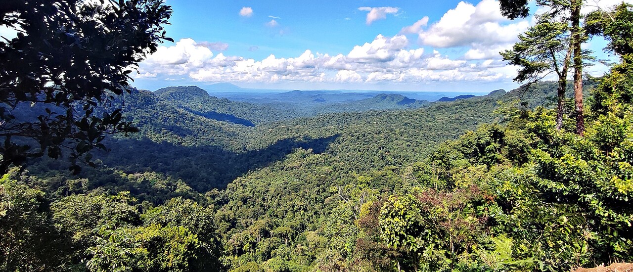 Ecuador’s new ecological corridor connects Andes and&hellip;