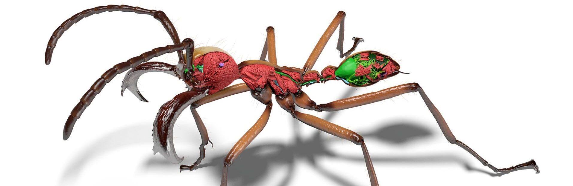 Scientists use rapid 3D scanning to create a digital library&hellip;