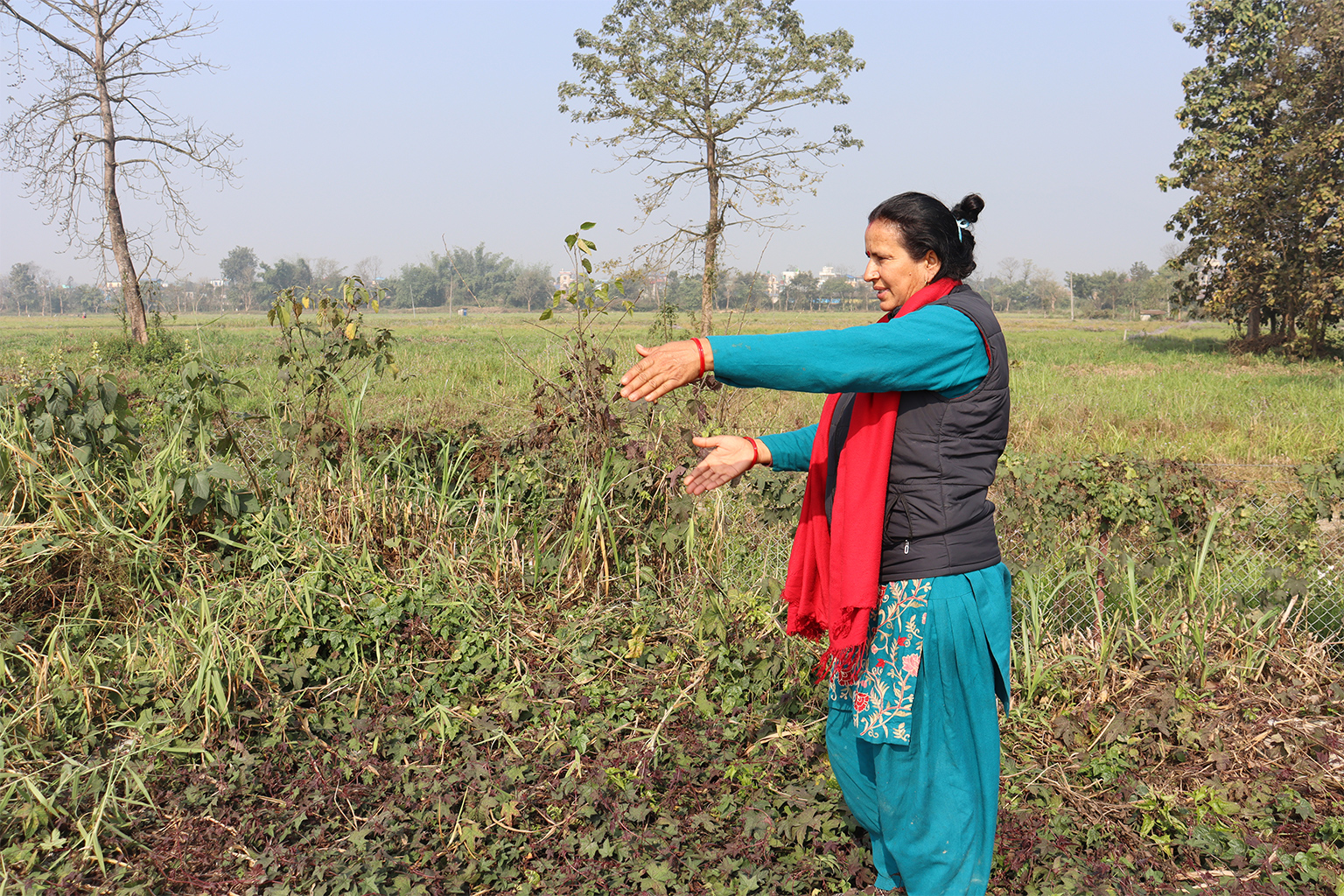 “Every day, rhinos trample our crops,” said Laxmi Dhakal, a resident in Bardiya's buffer zones. Image by Mukesh Pokhrel.