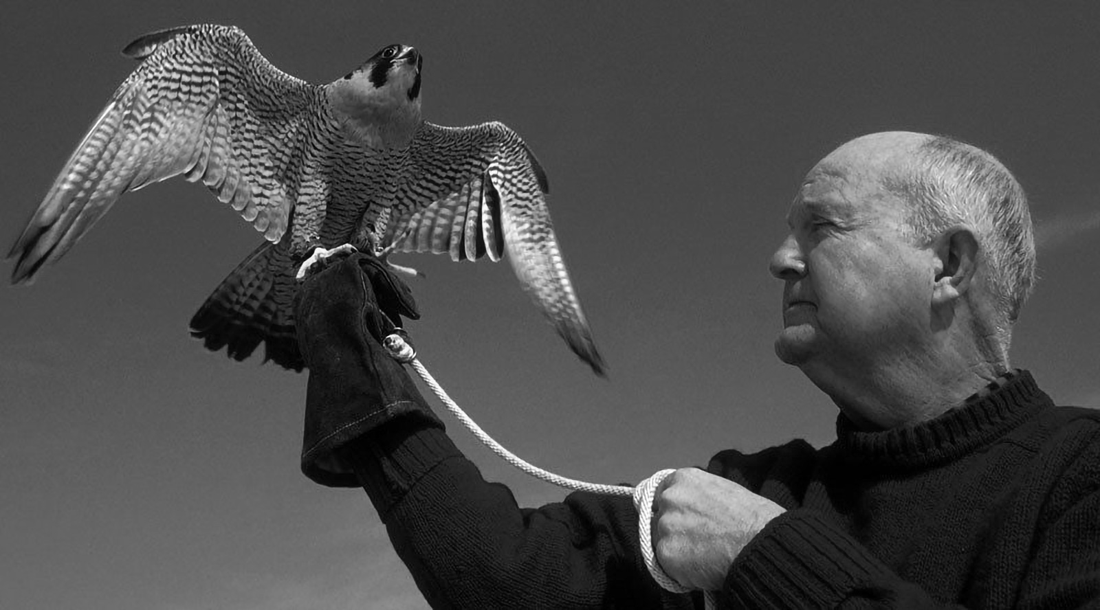 Mitchell Byrd, ornithologist who helped bring bald eagles back from the brink in the Chesapeake area