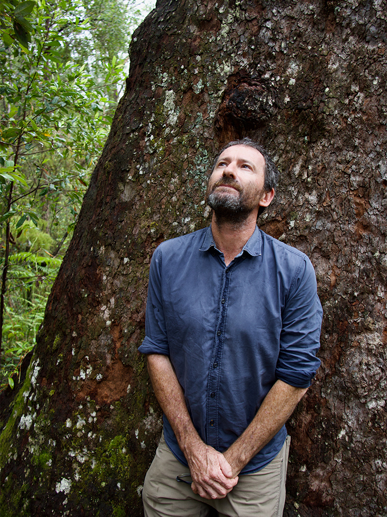 Grassroots activist Mark Graham, pictured here, has fought to stop rampant logging and protect Australia’s east coast forests for many years.