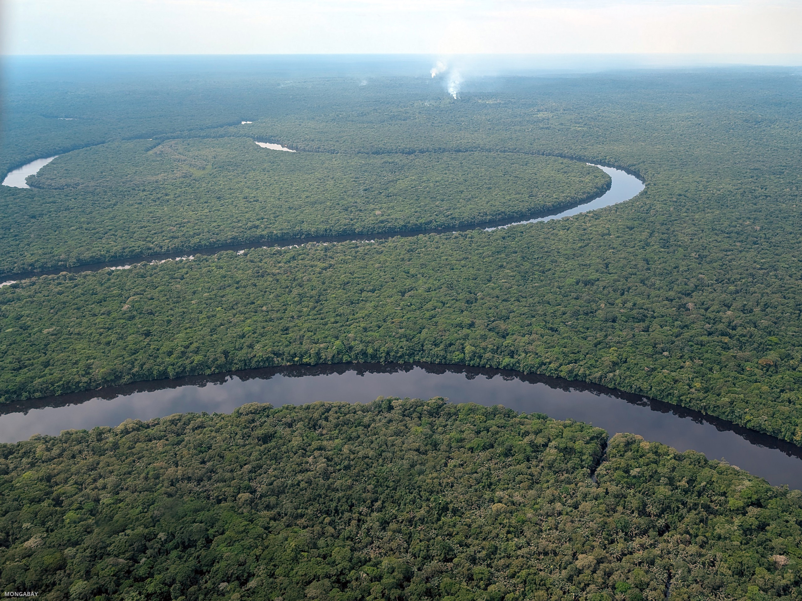 Aerial view of Salonga National Park in the Democratic Republic of Congo. Primary forest loss in the DRC declined by 5% between 2024 and 2025. Along with Brazil and Indonesia, the DRC is one of the top three countries for total remaining tropical forest cover. Image by Rhett A. Butler/Mongabay.