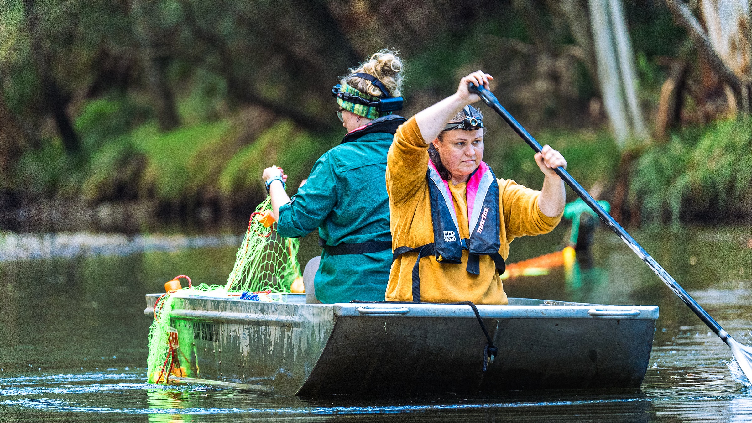 An Australian icon, the platypus is struggling — and&hellip;