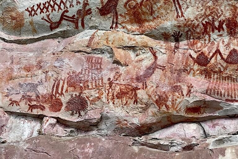Depictions of numerous animals in Serranía de Chiribiquete, Colombia. Image courtesy of the author.