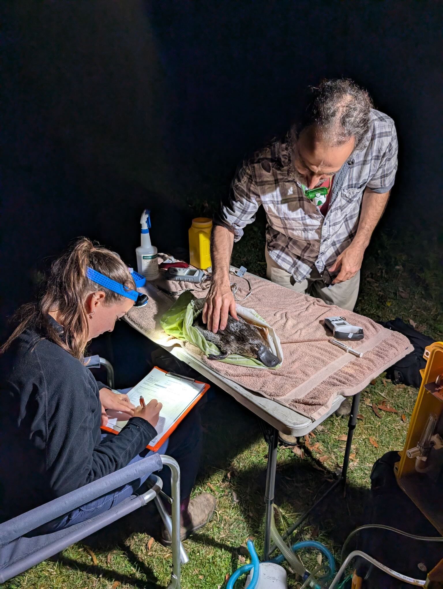 Researchers from the UNSW Platypus Conservation Initiative surveying the platypus population in Royal National Park.
