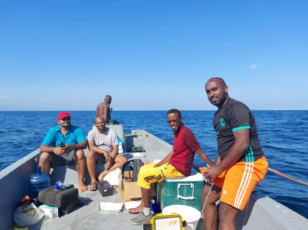 ‘Chemical cocktail’ of pharmaceuticals found in Djibouti coastal waters