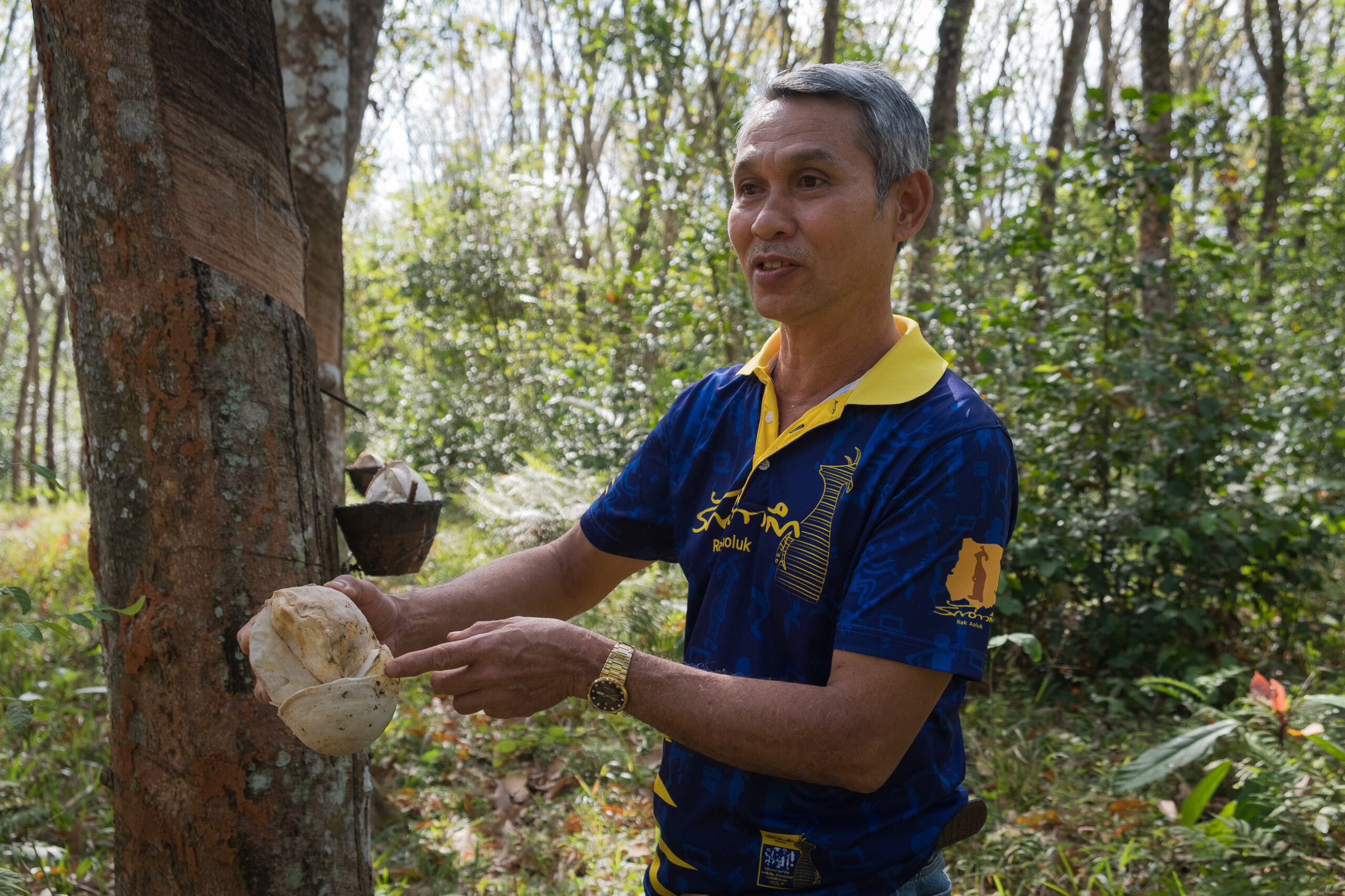 Rubber farmer