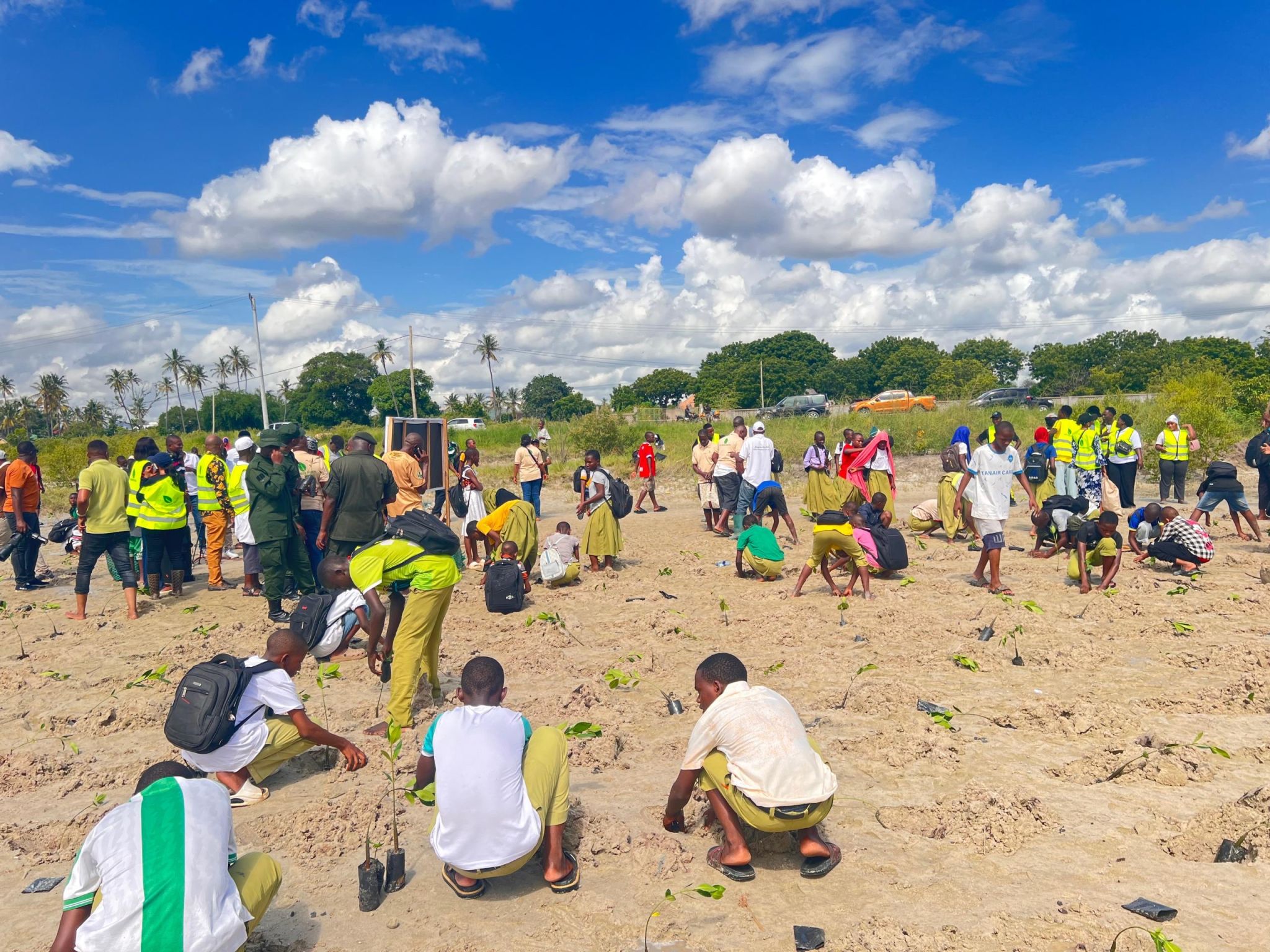 A recent mangrove restoration activity at Ununio Chumvini, Tanzania, led by Action for Ocean in partnership with Green Beach Organization. Image courtesy of Action for Ocean.