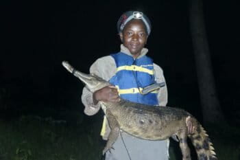 Christine Kouman with a slender-snouted crocodile (Mecistops cataphractus). Image courtesy of Agata Staniewicz.